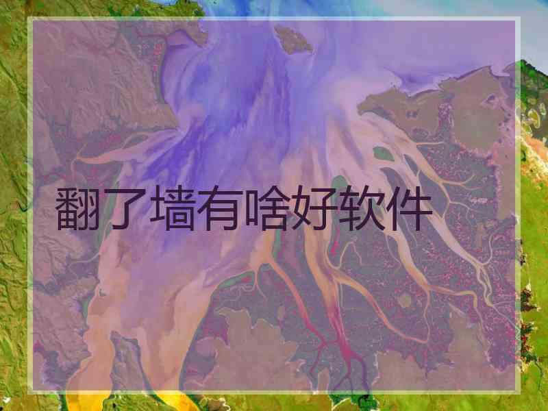 翻了墙有啥好软件