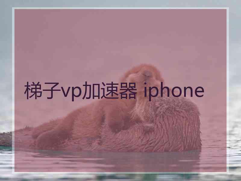 梯子vp加速器 iphone