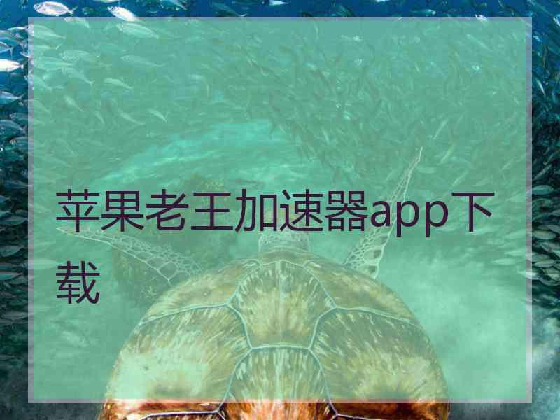 苹果老王加速器app下载