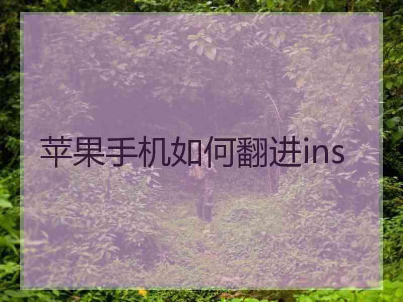 苹果手机如何翻进ins