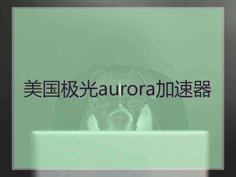 美国极光aurora加速器