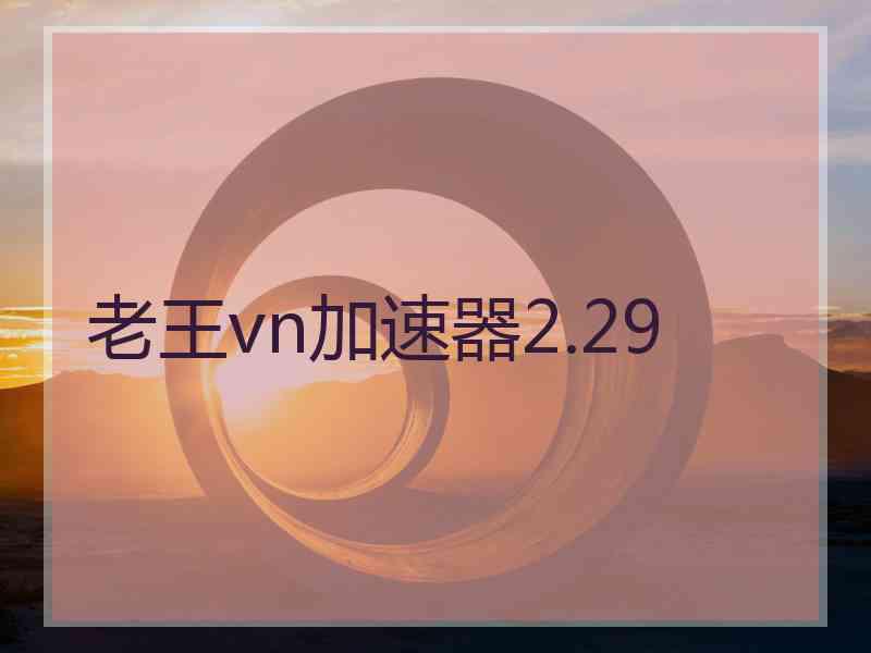 老王vn加速器2.29