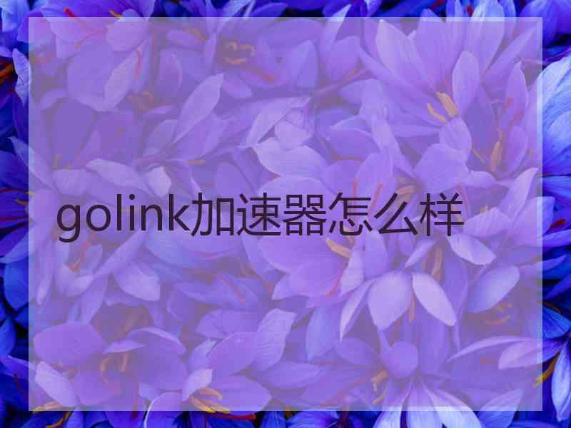 golink加速器怎么样