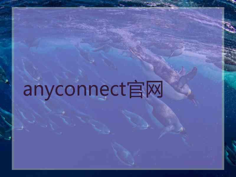 anyconnect官网