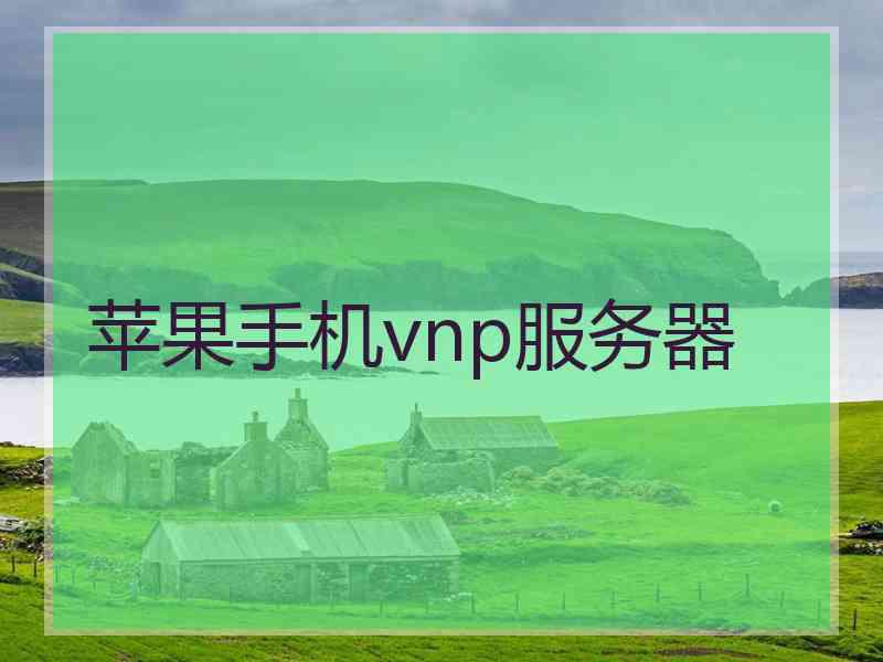 苹果手机vnp服务器