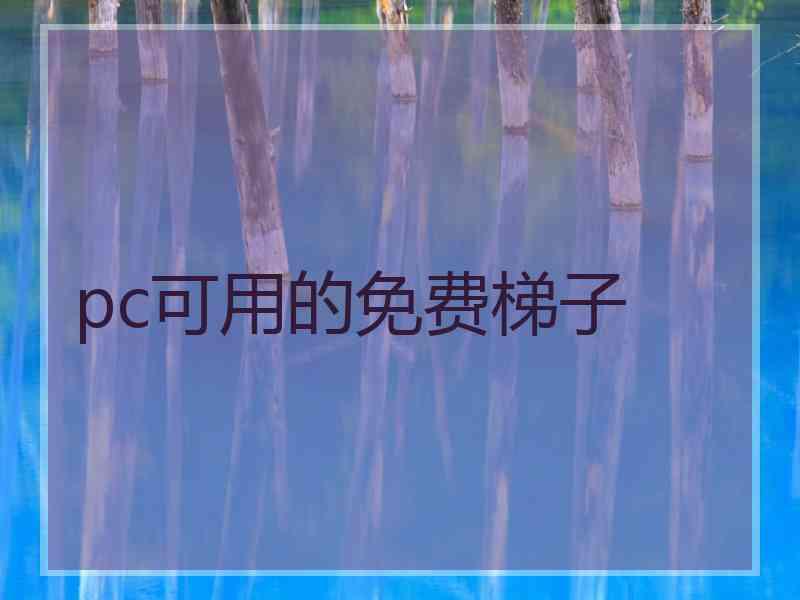 pc可用的免费梯子