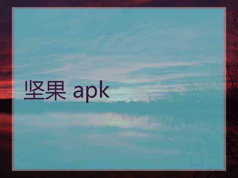 坚果 apk