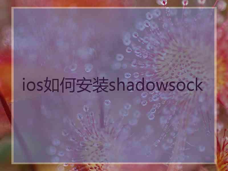 ios如何安装shadowsock