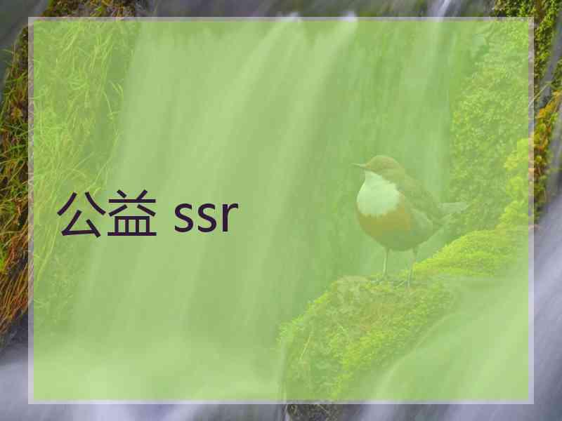 公益 ssr