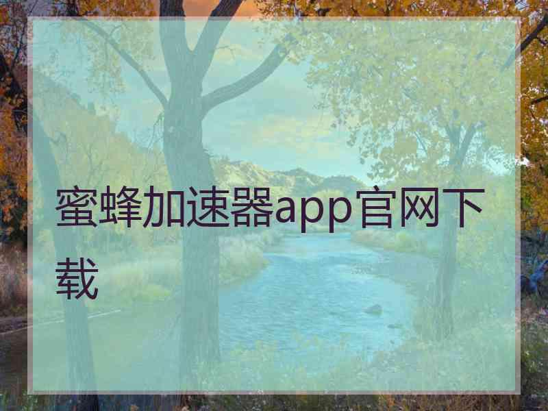 蜜蜂加速器app官网下载