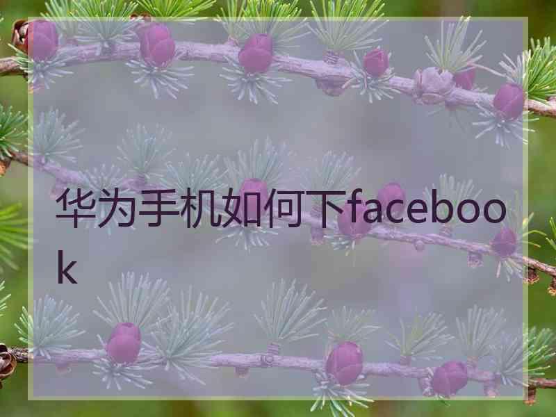 华为手机如何下facebook