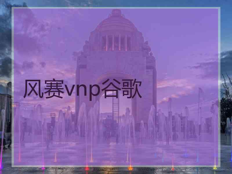 风赛vnp谷歌