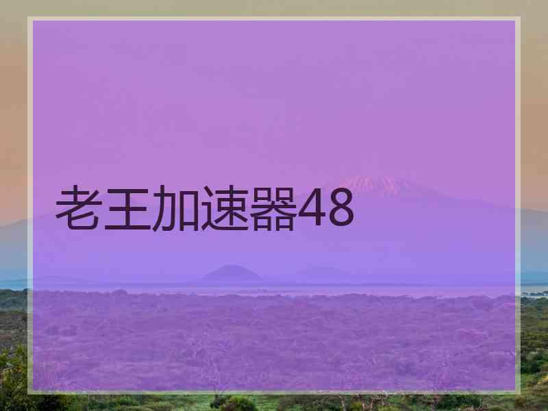 老王加速器48