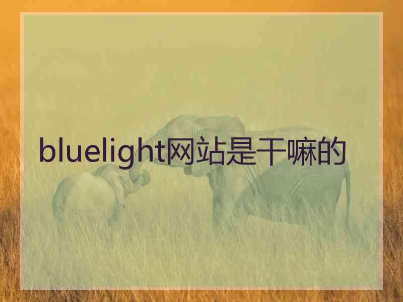 bluelight网站是干嘛的