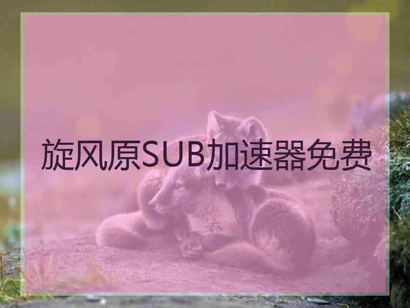 旋风原SUB加速器免费