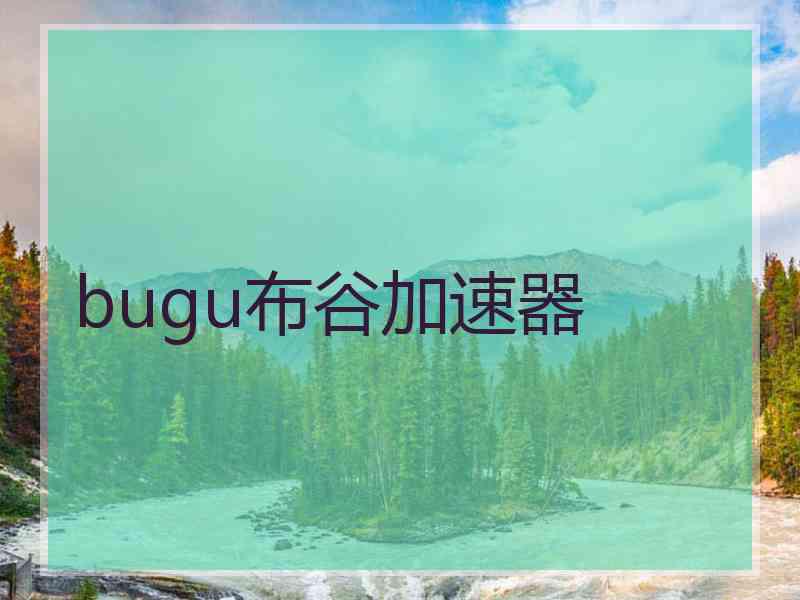 bugu布谷加速器