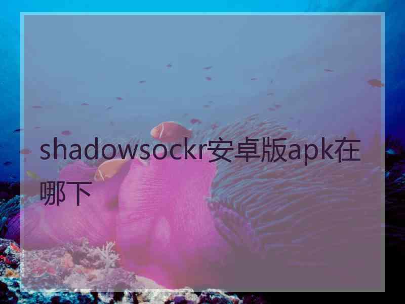 shadowsockr安卓版apk在哪下