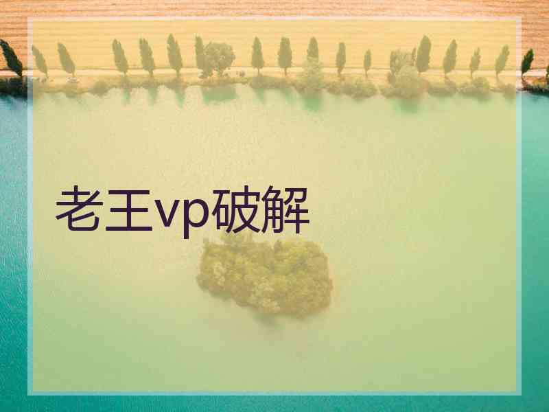 老王vp破解