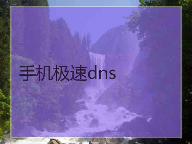 手机极速dns