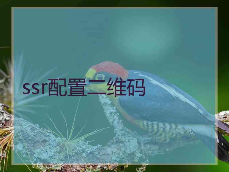 ssr配置二维码