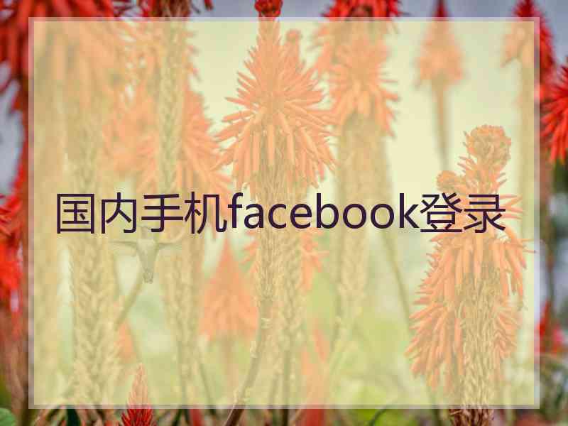 国内手机facebook登录