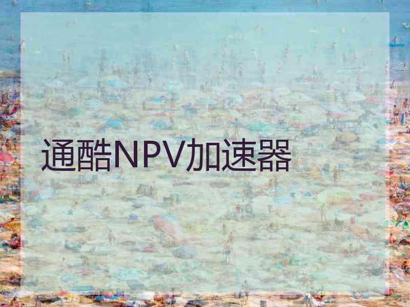 通酷NPV加速器