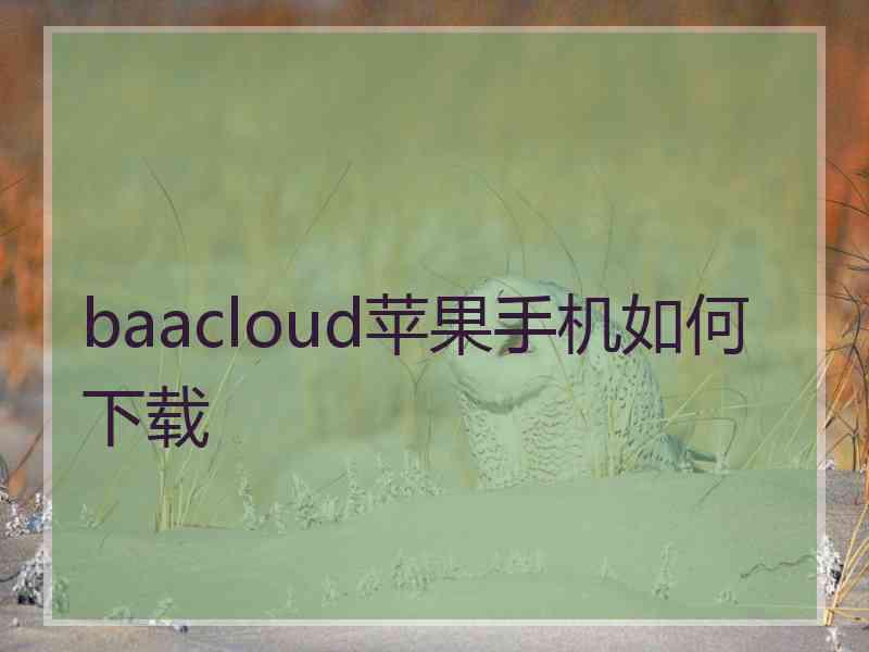 baacloud苹果手机如何下载