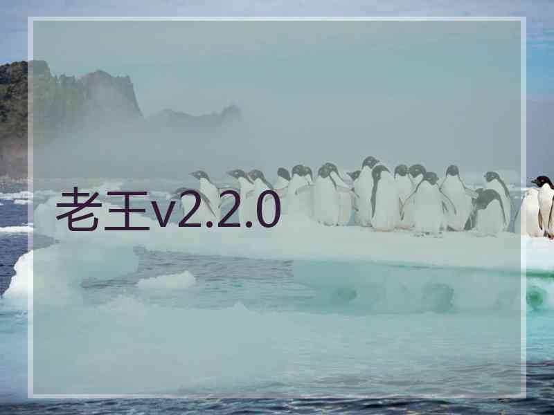 老王v2.2.0