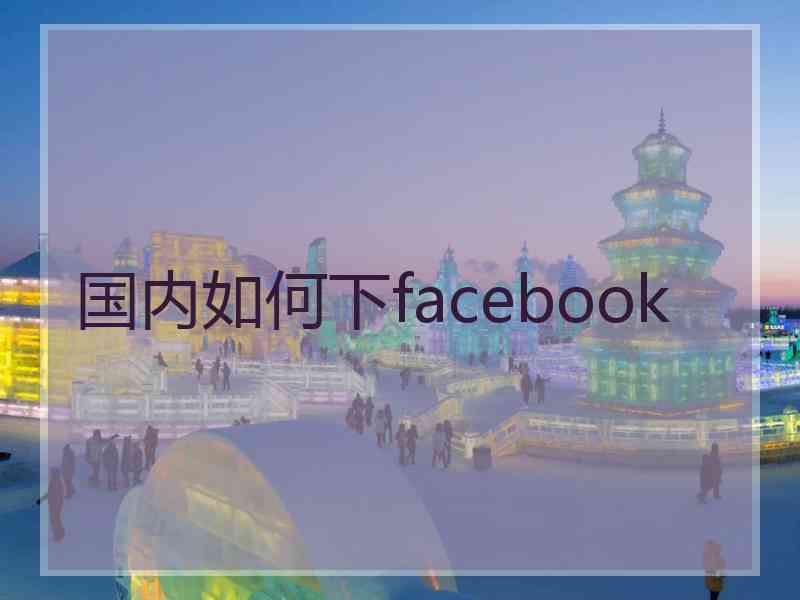 国内如何下facebook