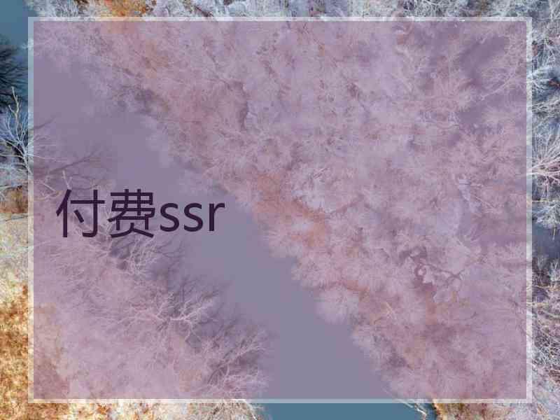 付费ssr