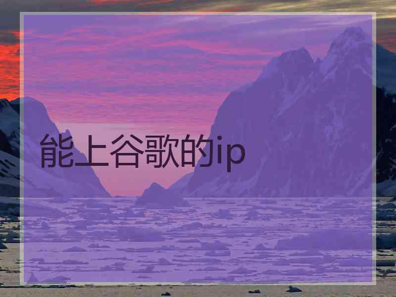 能上谷歌的ip