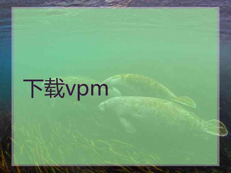 下载vpm