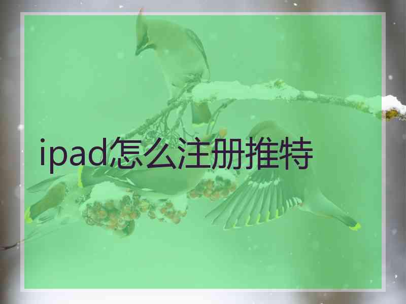 ipad怎么注册推特