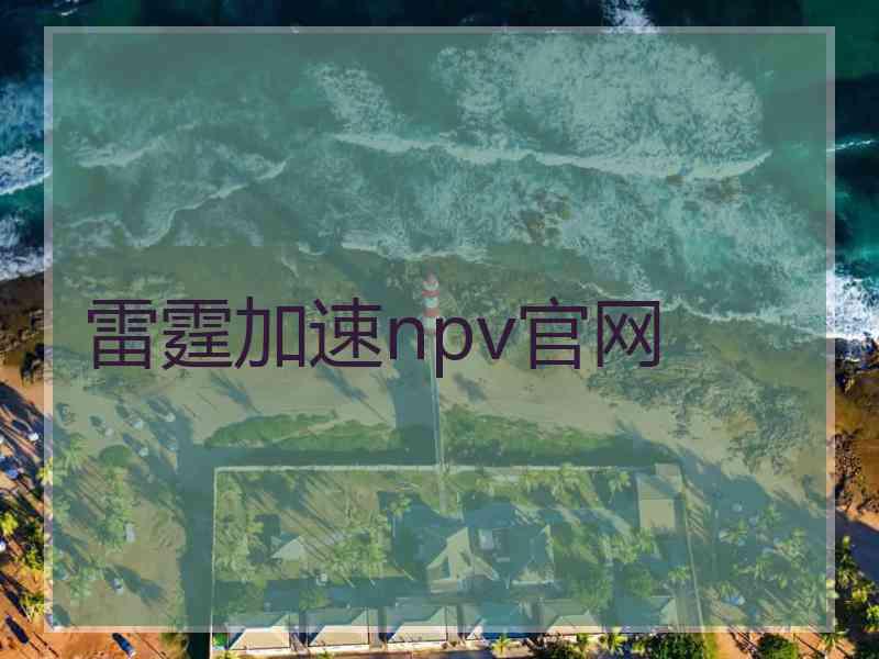 雷霆加速npv官网