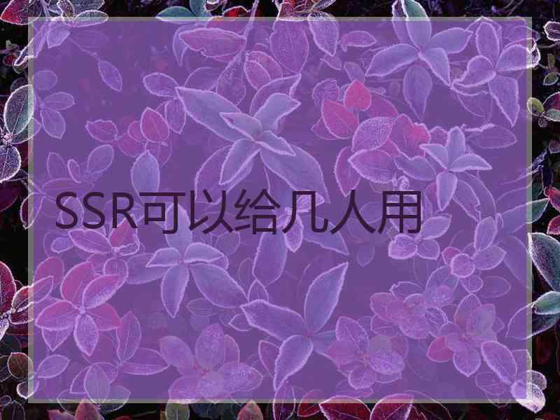 SSR可以给几人用