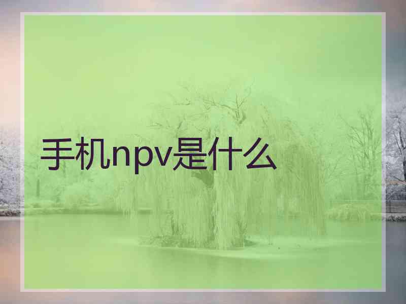 手机npv是什么