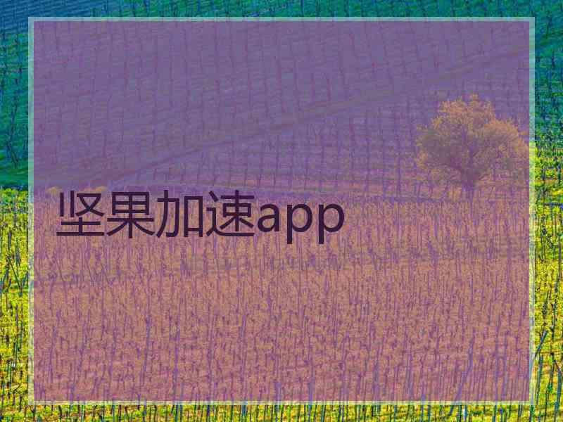 坚果加速app