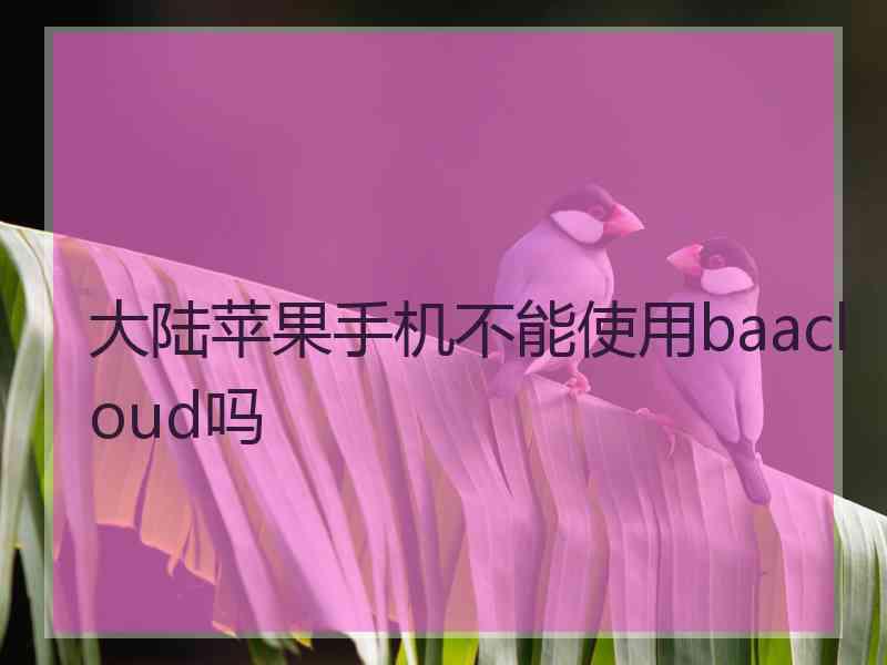 大陆苹果手机不能使用baacloud吗