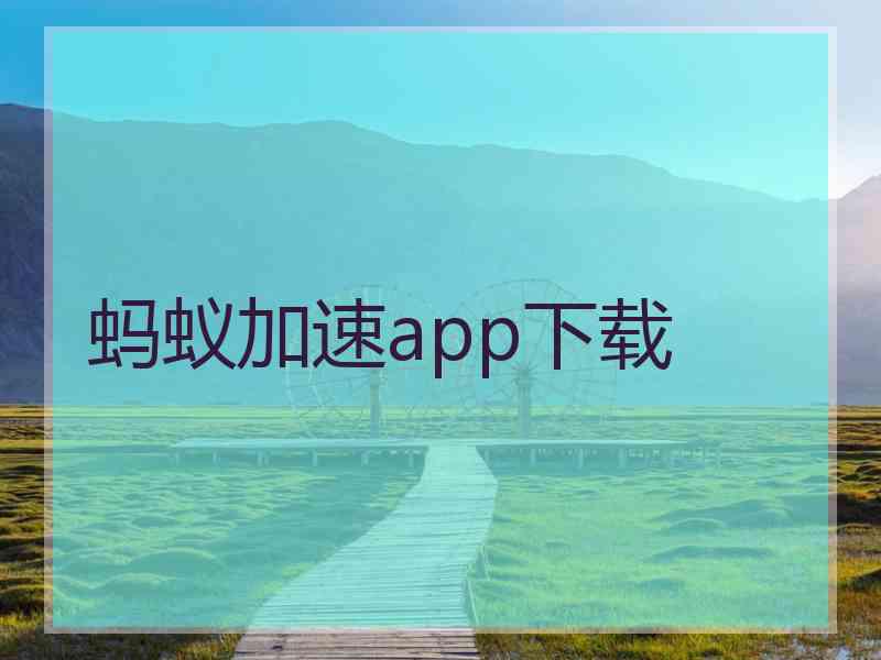 蚂蚁加速app下载