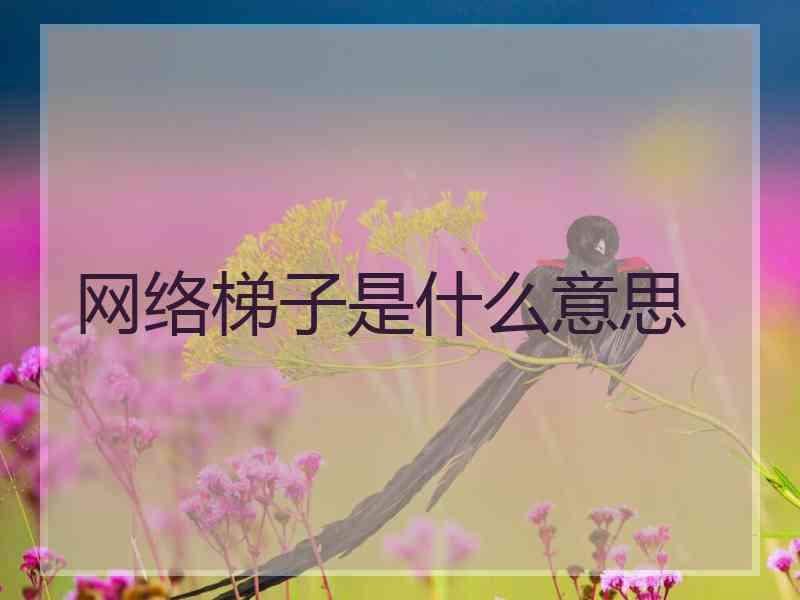 网络梯子是什么意思