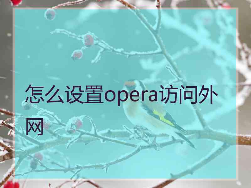 怎么设置opera访问外网