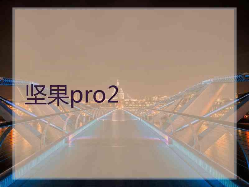 坚果pro2