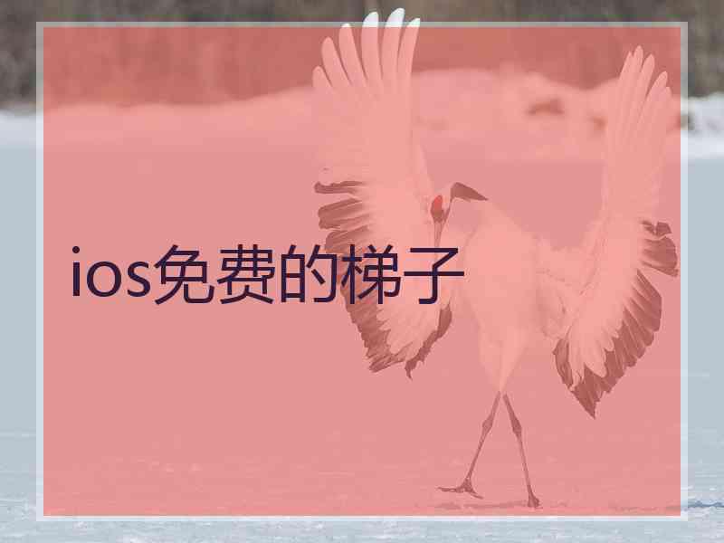 ios免费的梯子