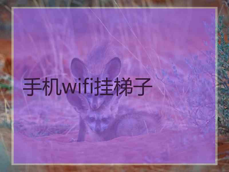 手机wifi挂梯子