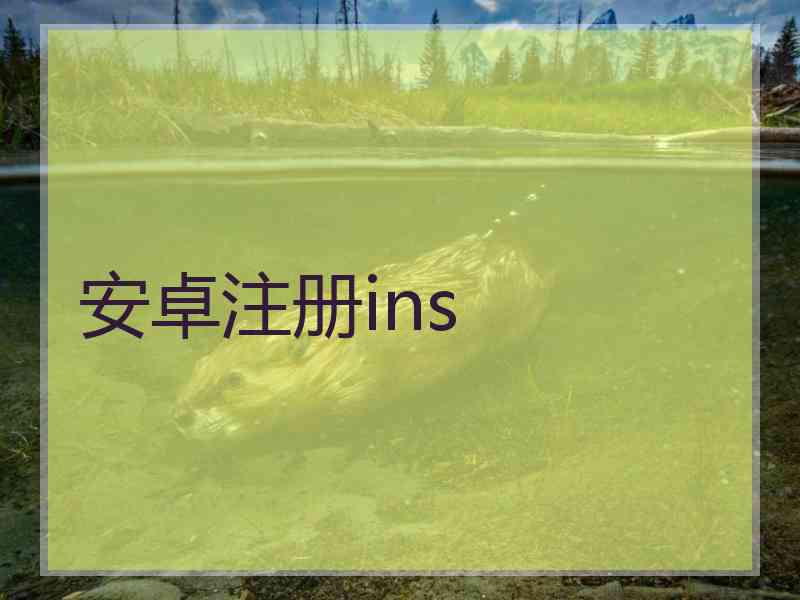 安卓注册ins