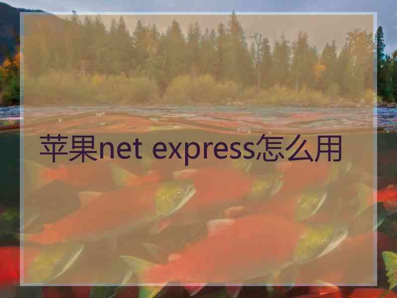 苹果net express怎么用