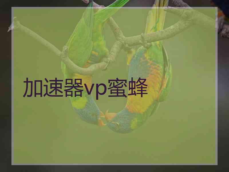 加速器vp蜜蜂