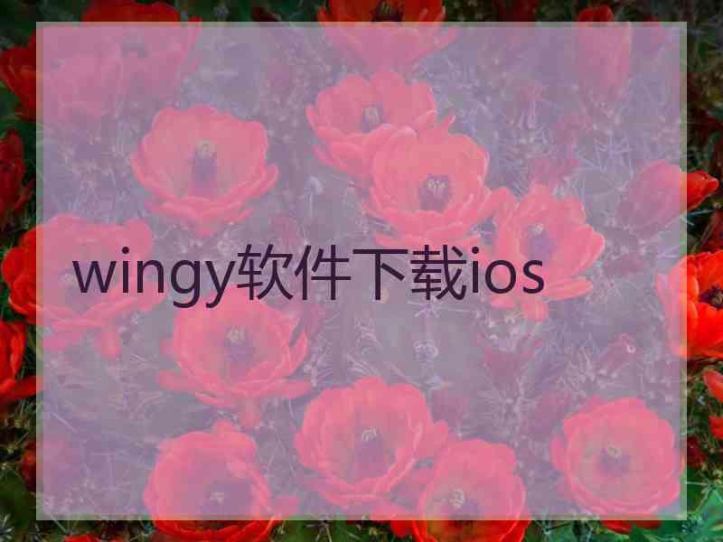 wingy软件下载ios