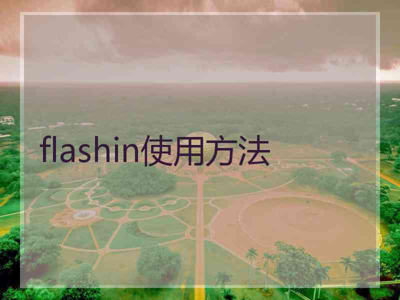 flashin使用方法