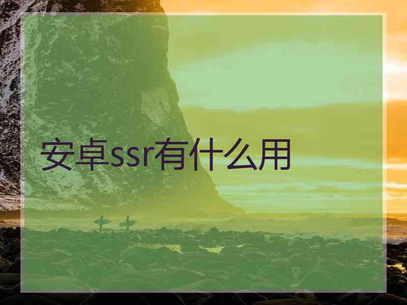 安卓ssr有什么用